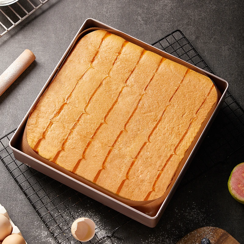 学厨 11寸不粘正方形加高古早饼干面包烤盘烤鸡烤鱼家用烘焙模具