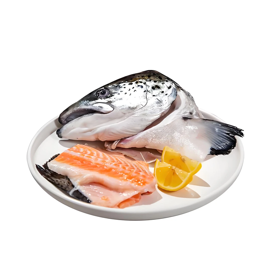 鲜活三文鱼 鱼头 鱼骨