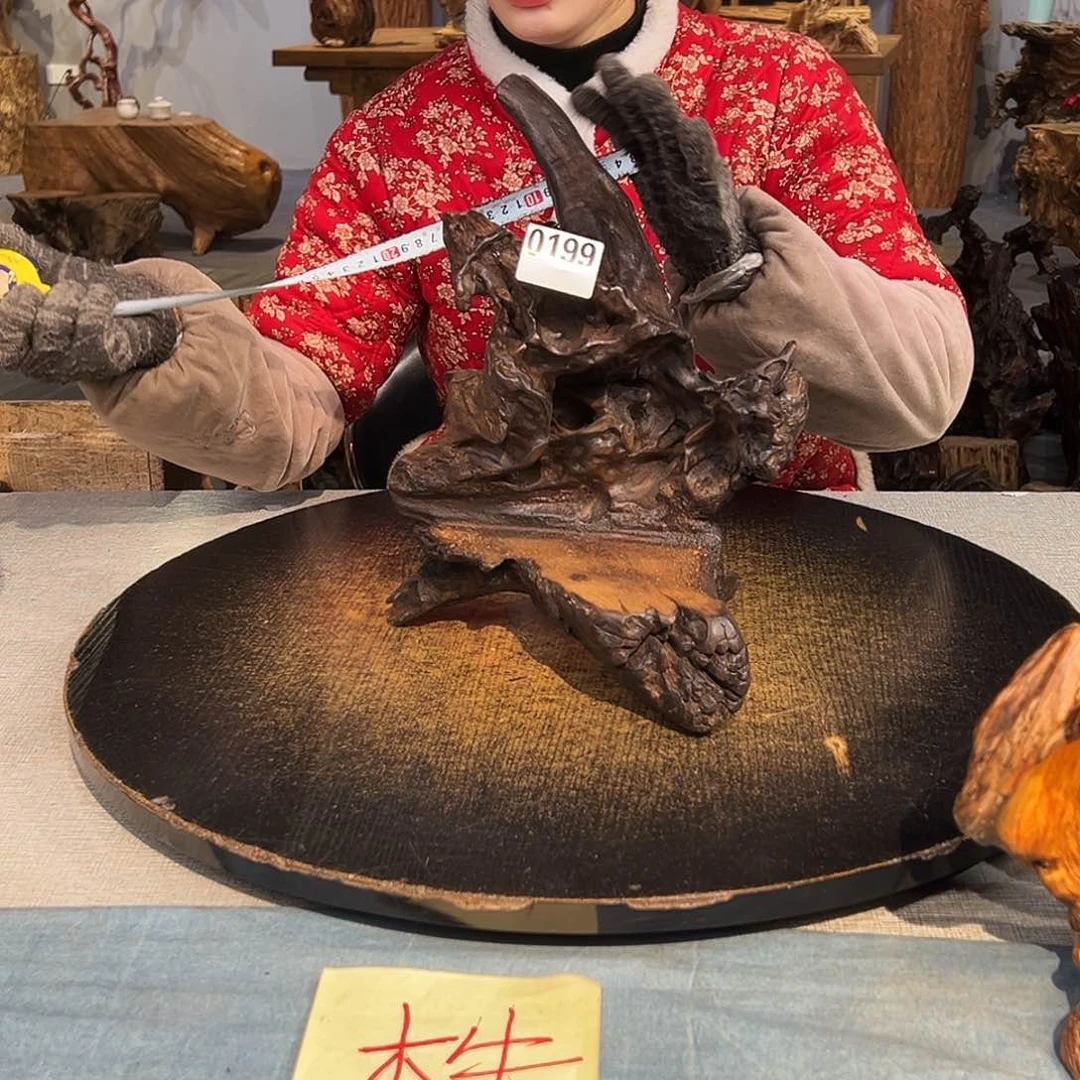 木梅****姐0199ggggggggggggg