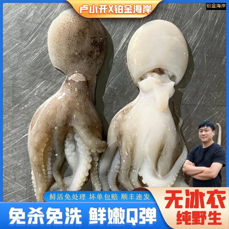 【铂金海岸】短腿八爪鱼新鲜章鱼鲜冻去内脏免洗250g/包6包1500g
