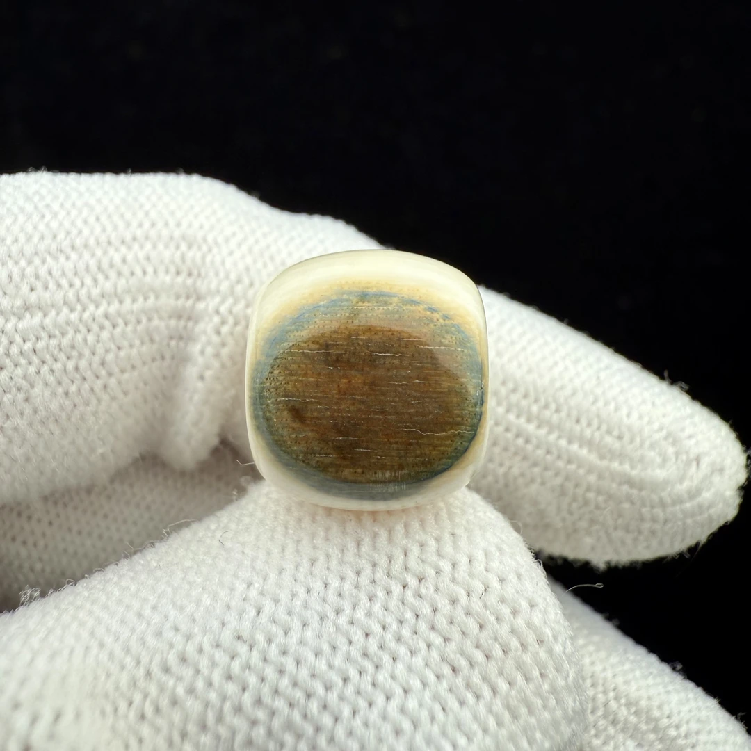 G1241天然猛犸 蓝眼睛桶珠13x11.8mm一物一图支持鉴定假一罚十