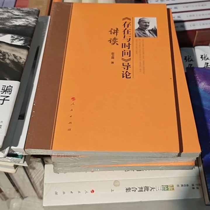 存在与实践导论导读平装