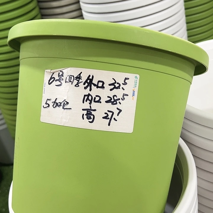 特价6号口32.5高27白色7只无托