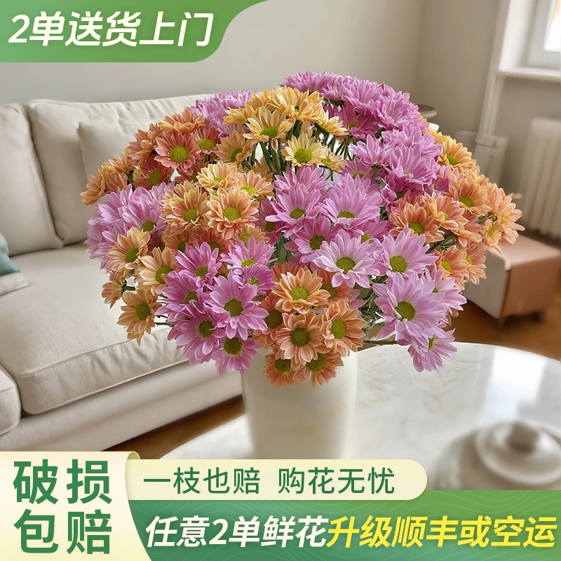 【柔柔甄选】小雏菊-任意2单鲜花包邮发货后不支持退款