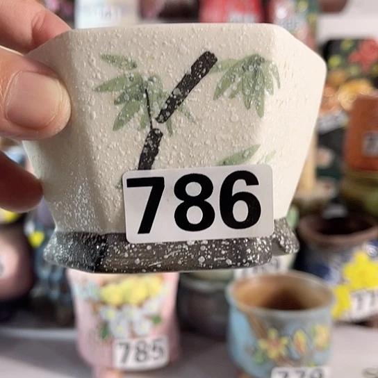 红陶多肉植物花盆