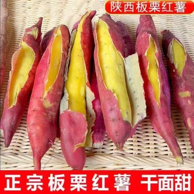陕西正宗板栗红薯3-5-9斤新鲜现挖粉面干甜小番薯农家地瓜烤红薯