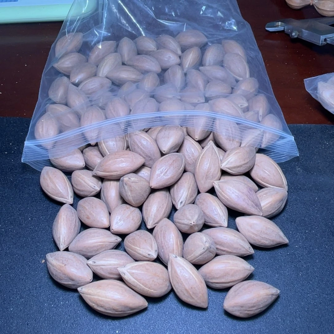上***者手串/手链橄榄核不退不换