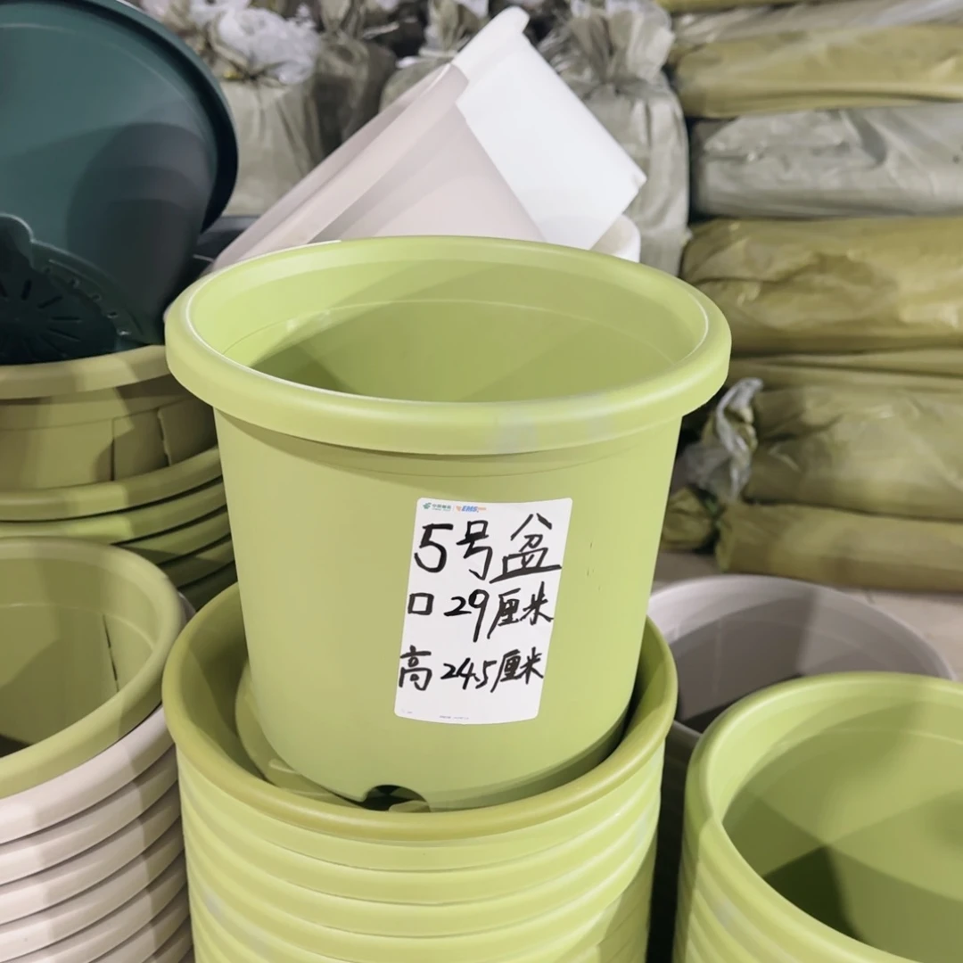 塑料四季5号军绿10个无托