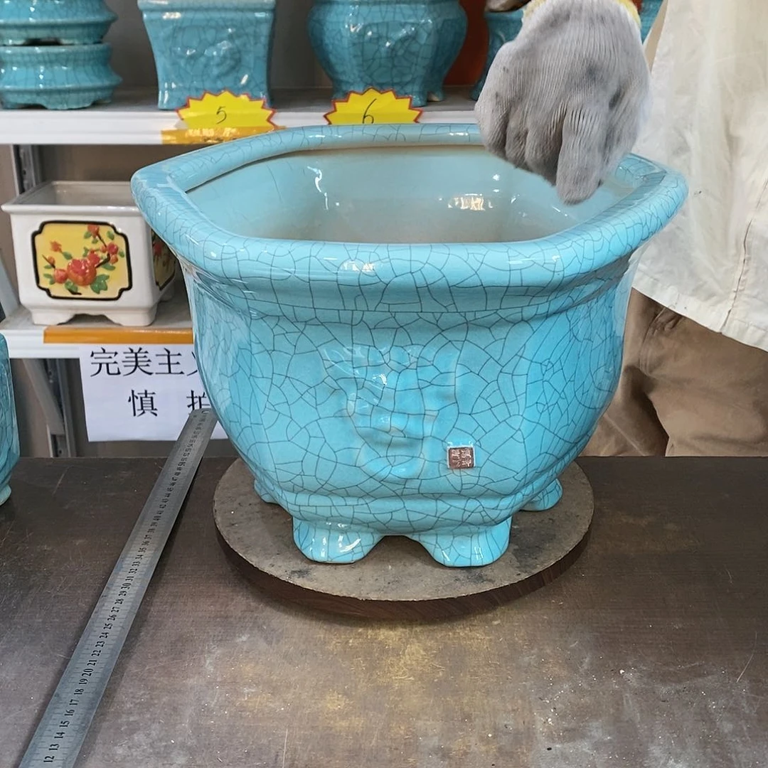 用****2花盆花盆里的花都