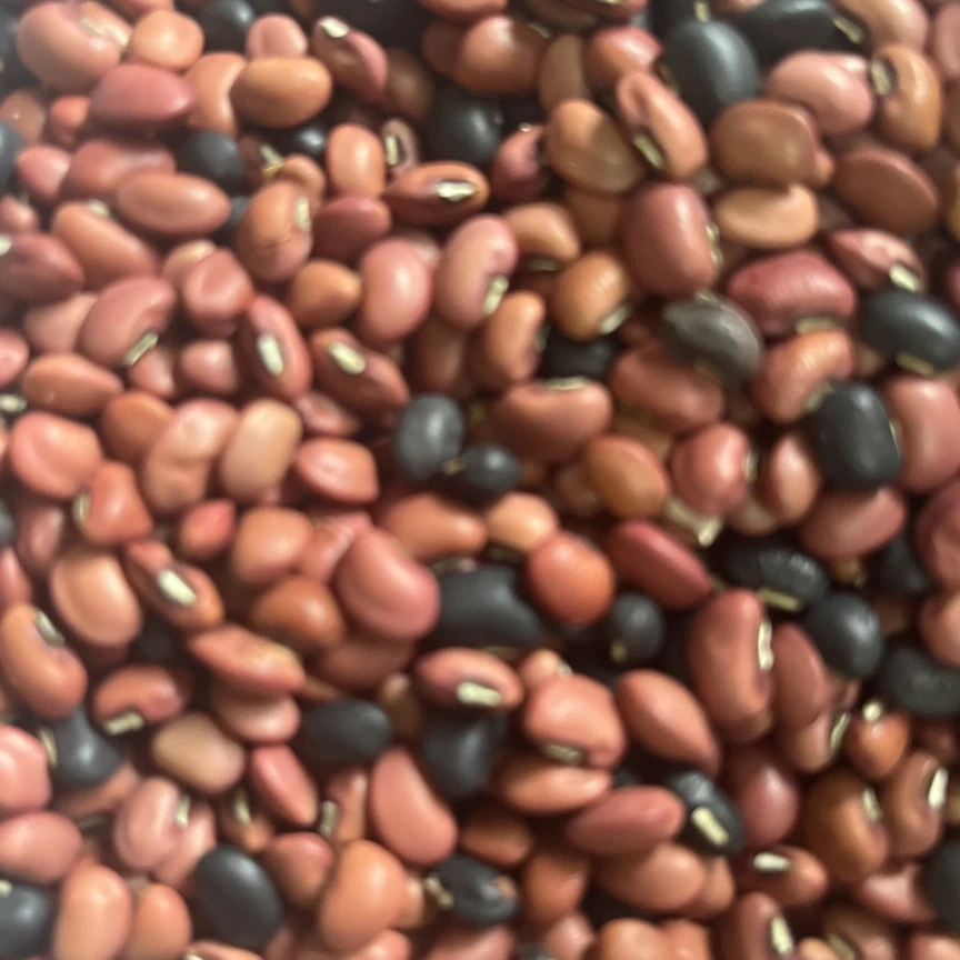 湖南桂阳本地正宗农家红黑豆可打豆浆