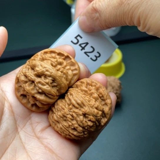 把件文玩核桃42.5白狮子5423