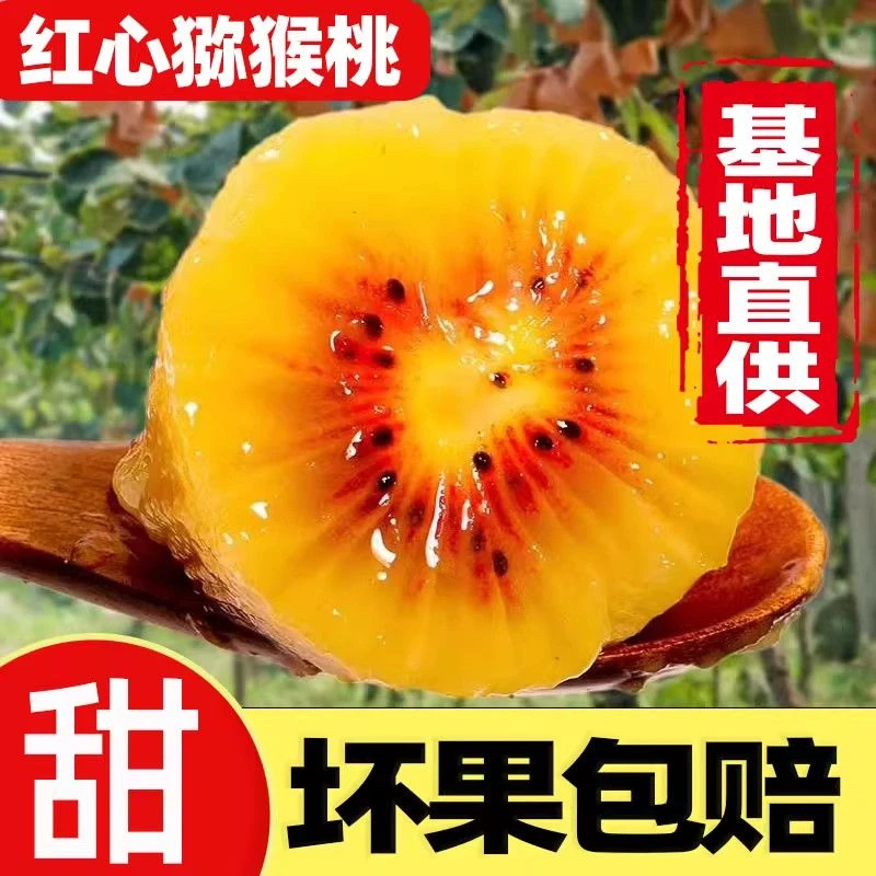 FL宝宝果正宗红心猕猴桃奇异果新鲜当季多汁香甜水果湖南麻阳包邮