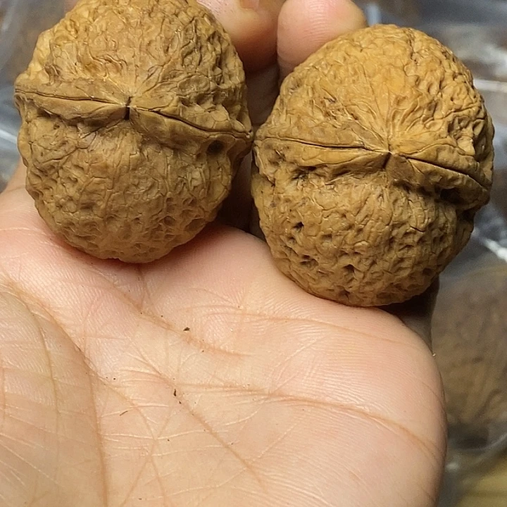 把件文玩核桃云南铁核桃97