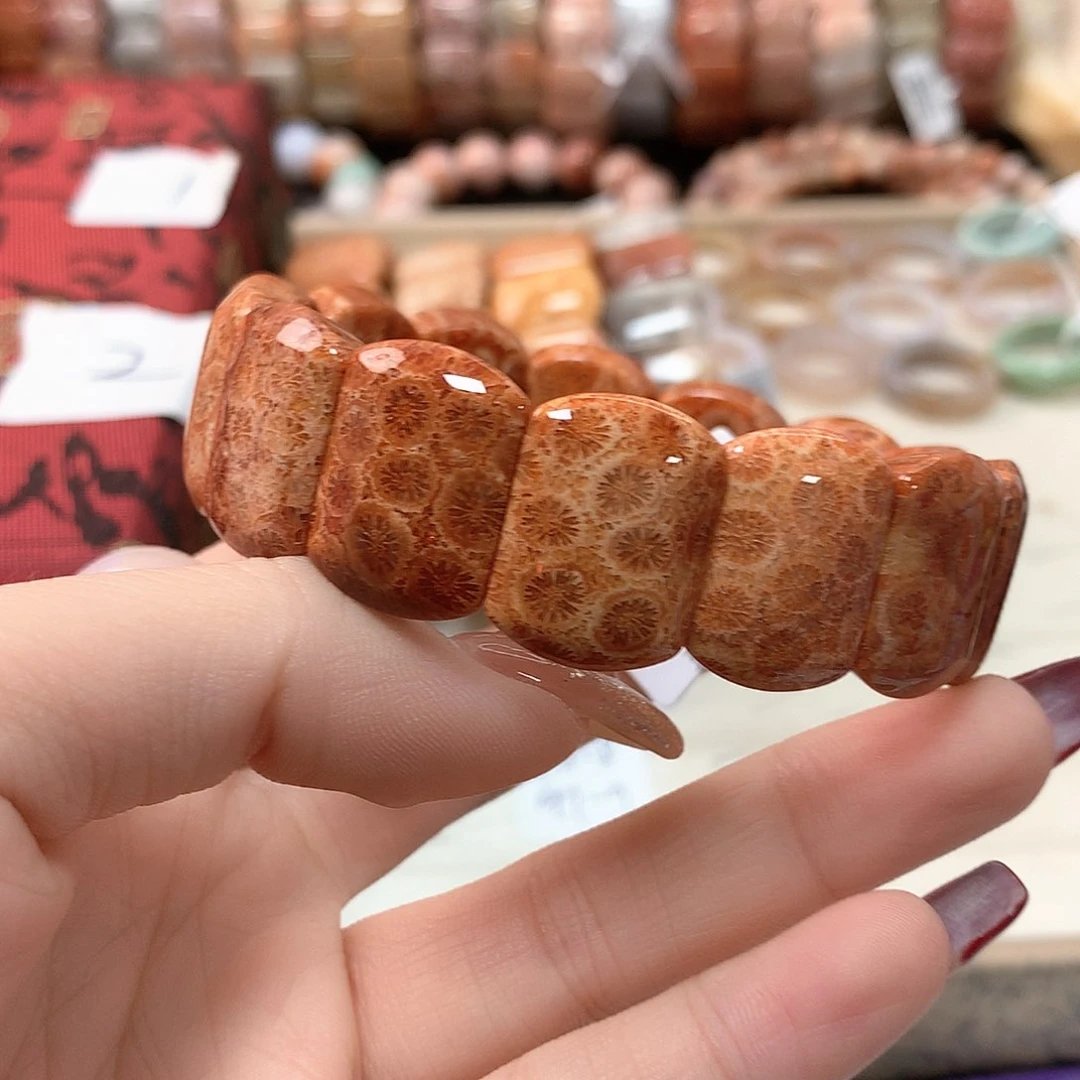 硅化珊瑚（珊瑚玉）手链未镶嵌芯*628