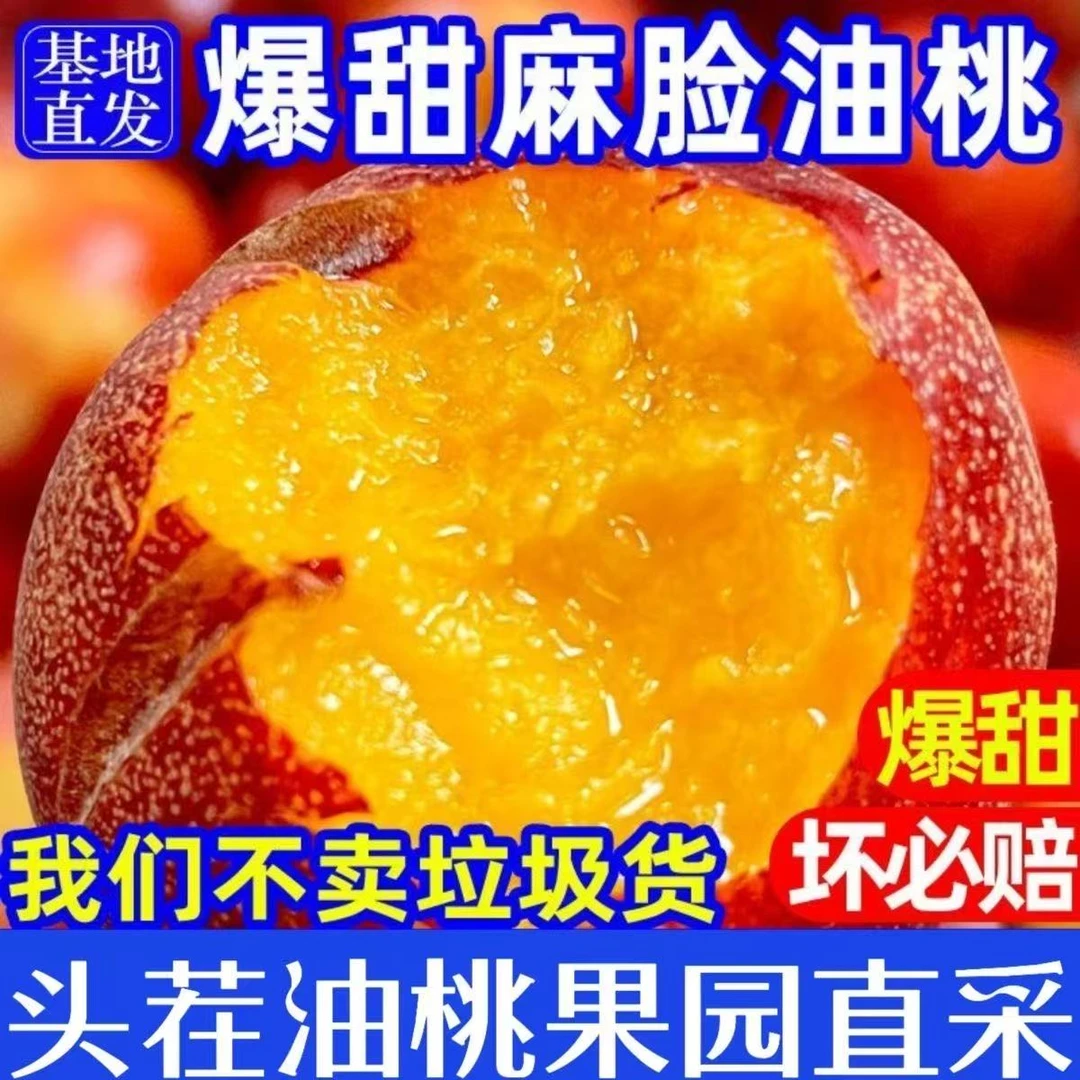 【应季鲜桃】山东蒙阴露天头茬麻点黄油套彩虹胭脂黄桃新鲜采摘