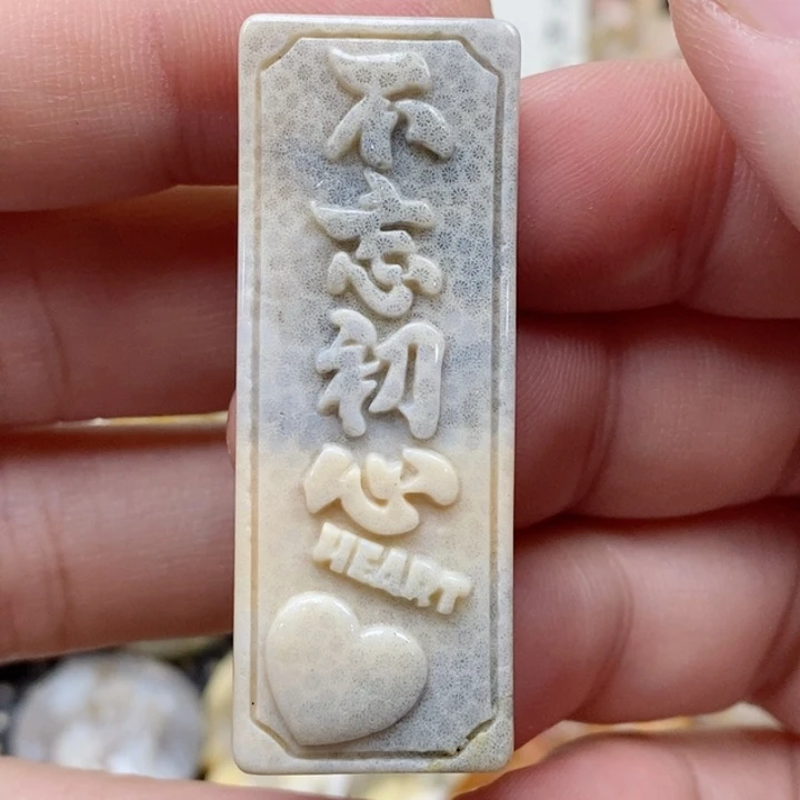 硅化珊瑚（珊瑚玉）未镶嵌颈饰