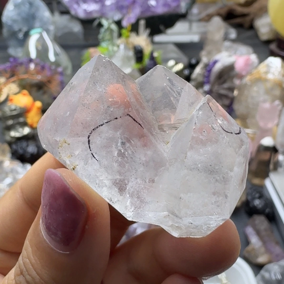 闪灵两个水胆簇的