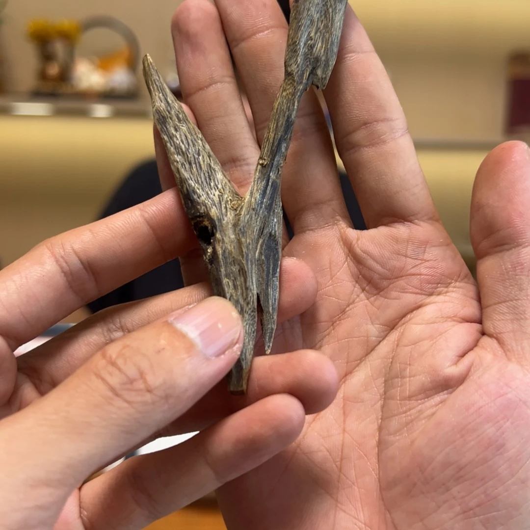 沉香金沙叶纯化虫漏老料10克