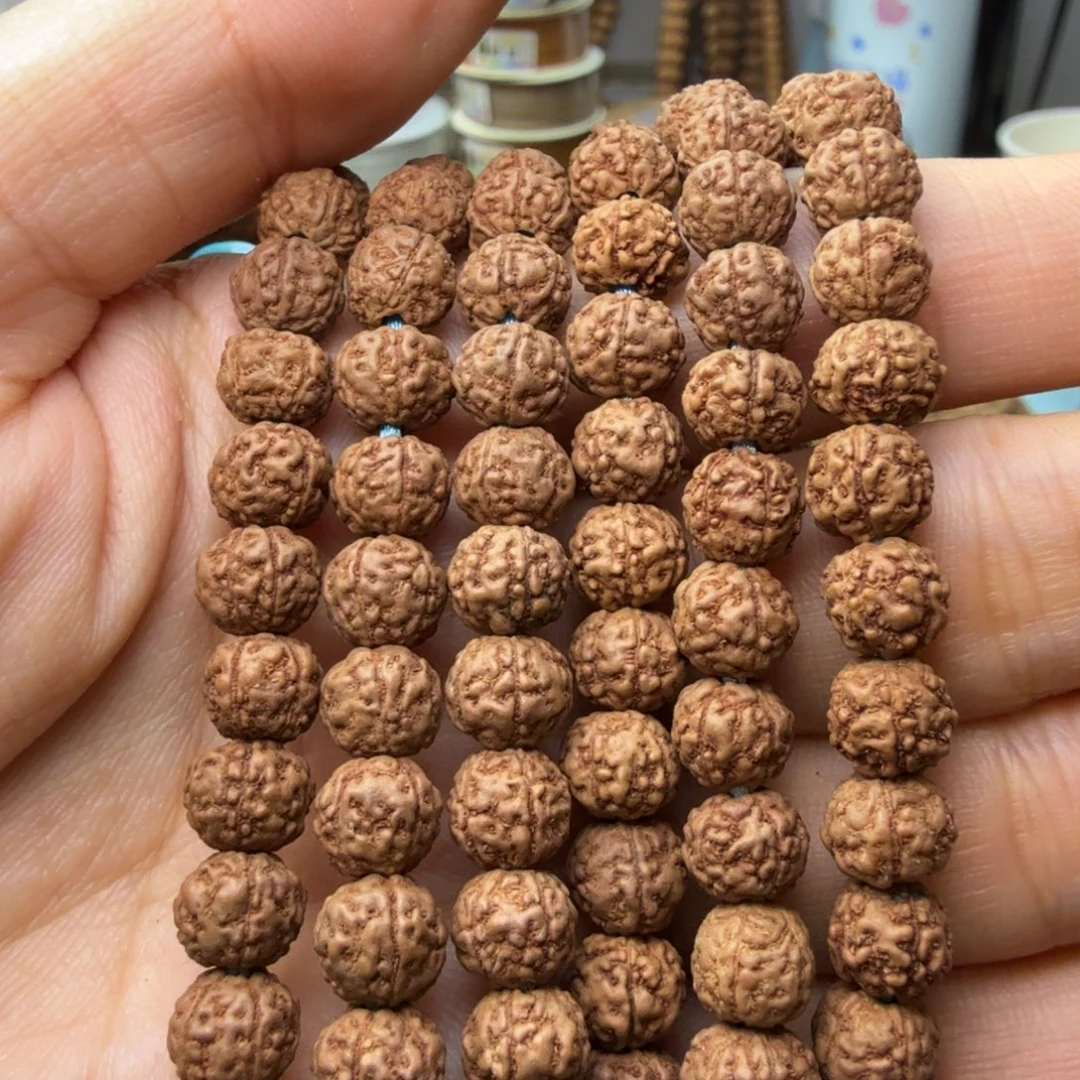 @***…金刚菩提吊坠老树小盘龙2条