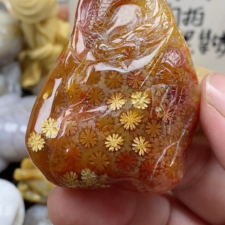 颈饰未镶嵌硅化珊瑚（珊瑚玉）