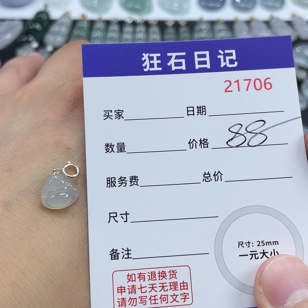 翡翠银S925镶嵌颈饰