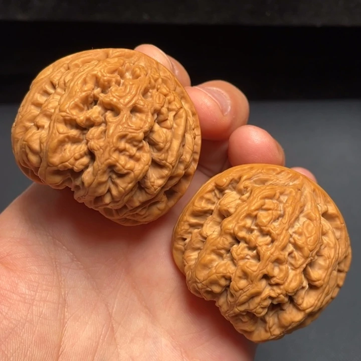 秦岭山脉核桃树生长