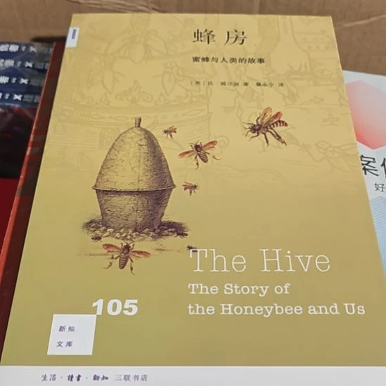 蜂房平装库存书（务必塑封）