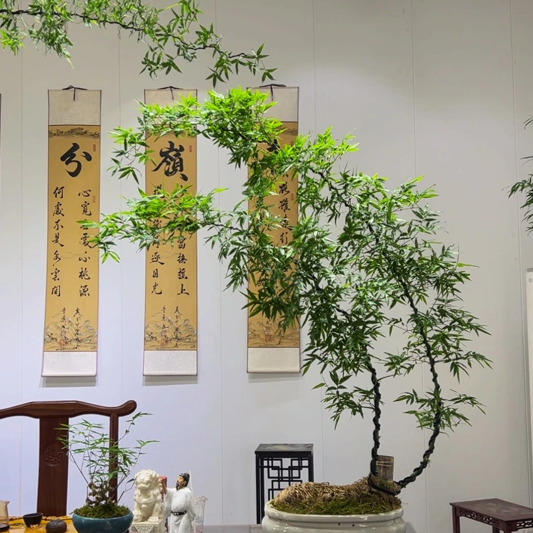 无花朵斜卧桩双杆