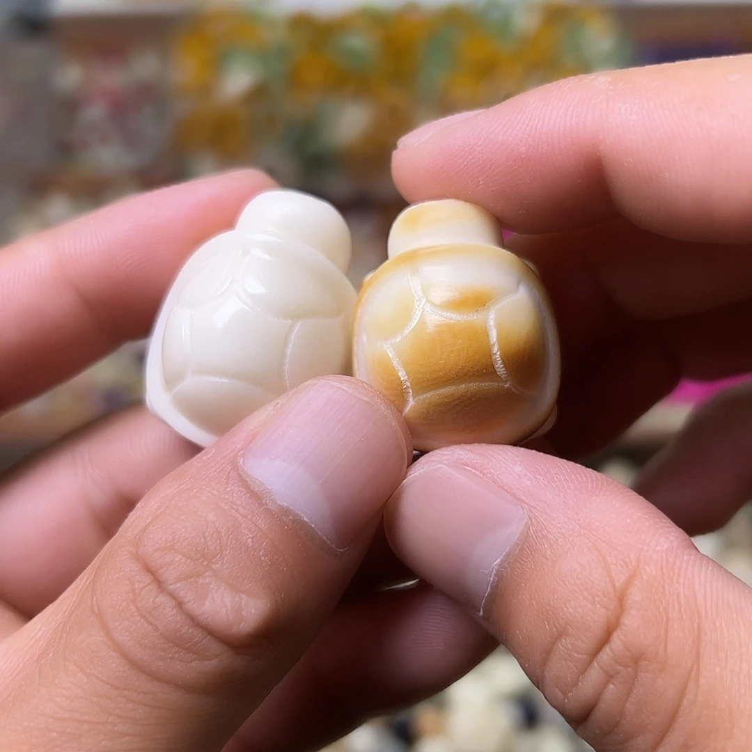 菩提根/象牙果手串10颗乌龟通货颜色自己备注