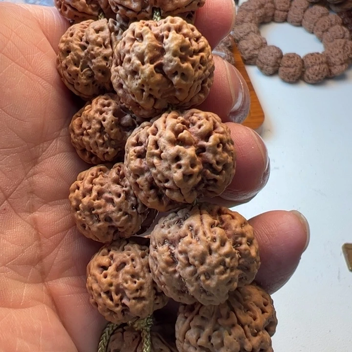 吊坠金刚菩提5瓣22粗筋梅花