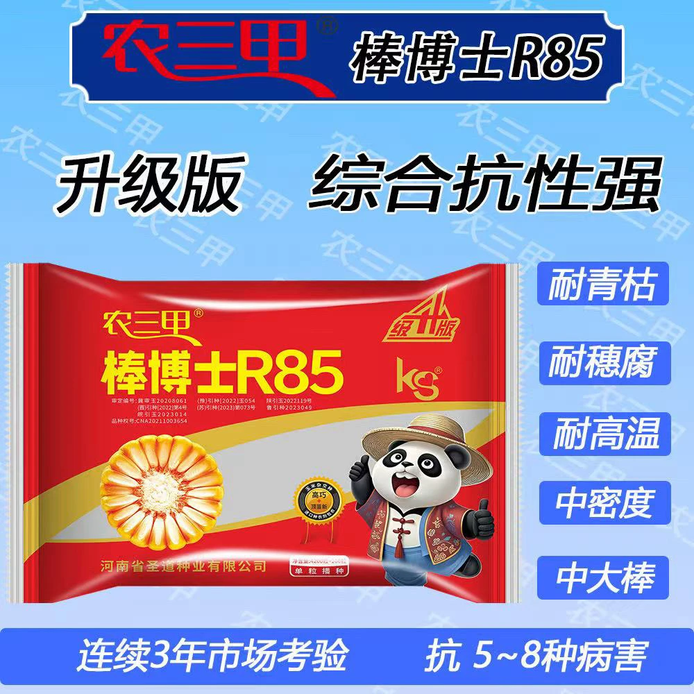 棒博士R85 升级版 综合抗性强 抗倒伏耐高温 角质粮