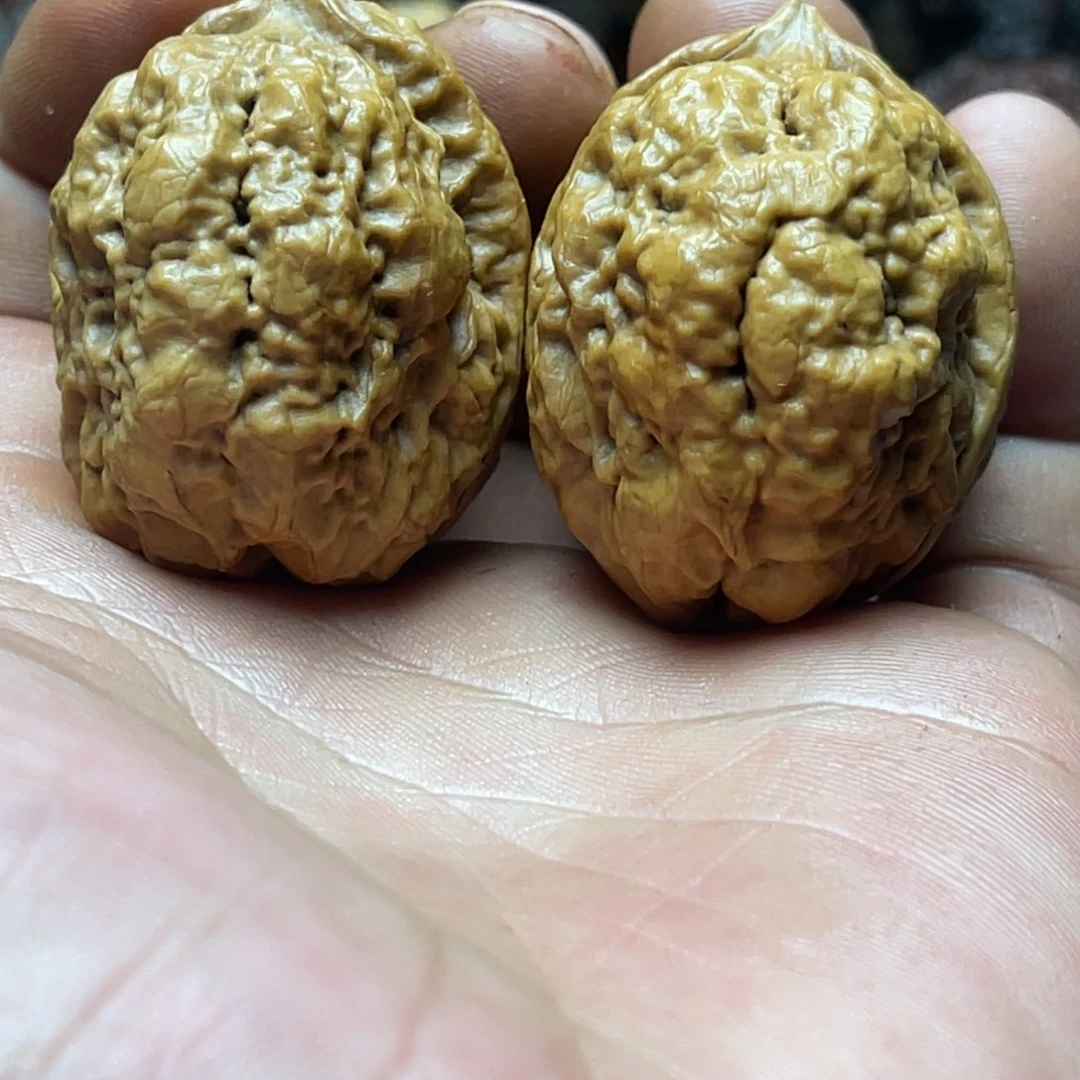42mm上古龙脊 老果41克