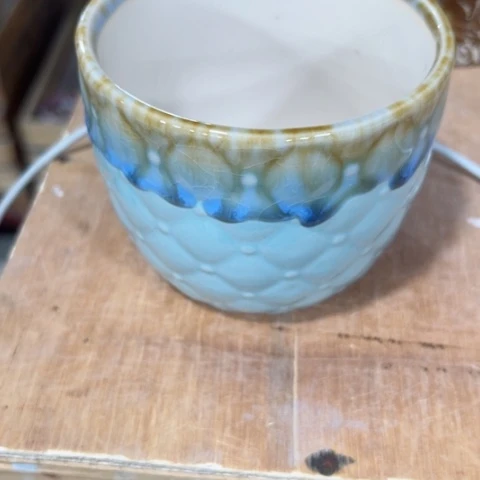 陶瓷新年快乐都是福利盆各位姐姐