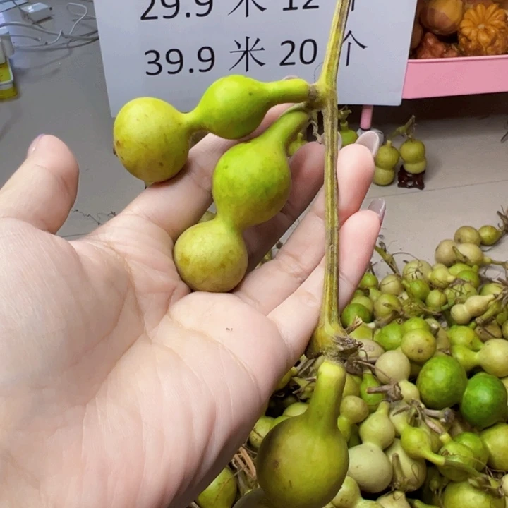 葫芦中国大陆?****ŋ