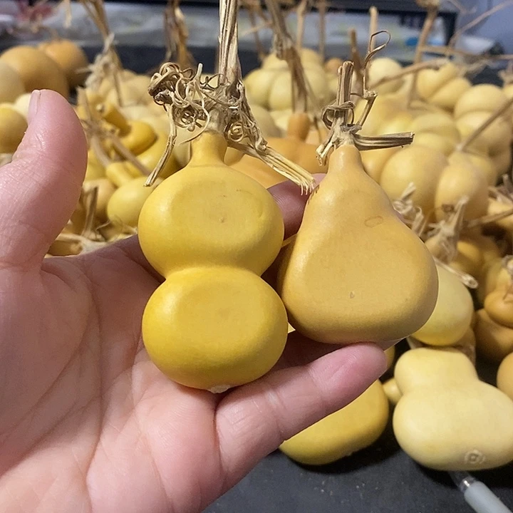 王**?葫芦的颜色很好看