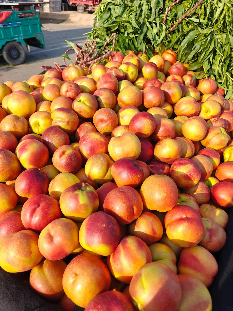 山西运城脆甜油桃新鲜应季水果果园产地直发孕妇油桃