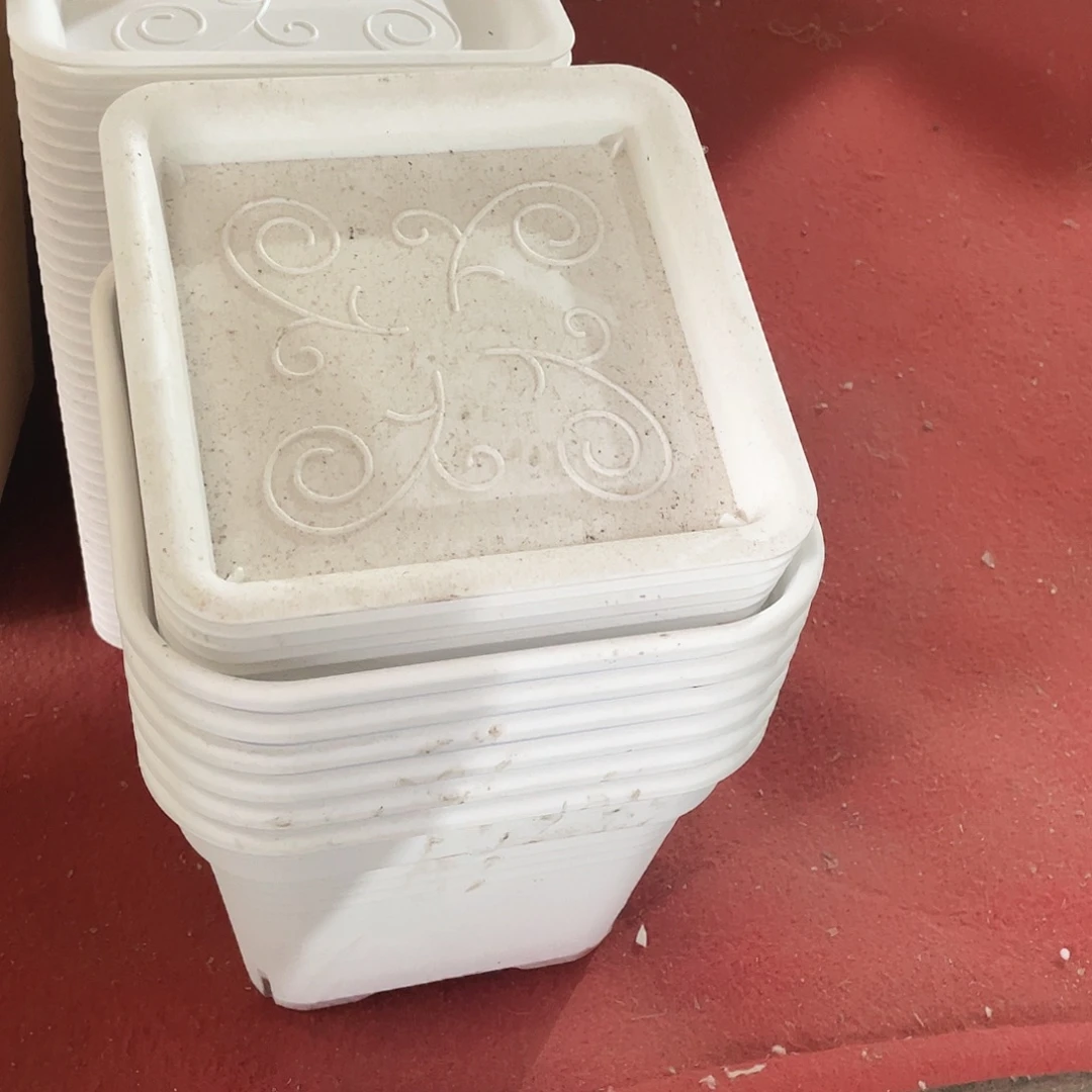 编号是3号的13号的