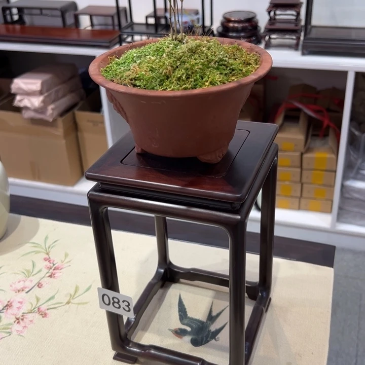 紫砂紫砂紫砂紫砂紫砂紫砂