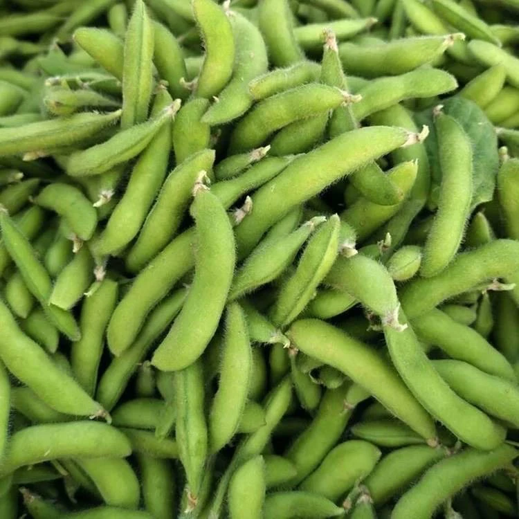 （顺丰包邮）安徽现摘新鲜带壳毛豆农家青豆豆角当季鲜嫩蔬菜