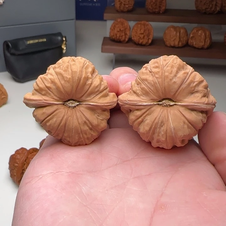 L42-41-33全品无药南瓜墩B18号