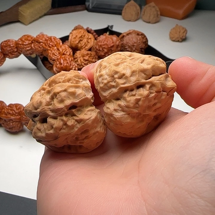 39-43-34矮桩肌肉蛙八腿开背A21号