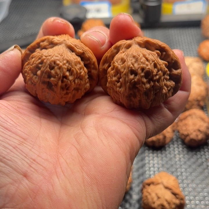 文玩核桃把件羊*多全品彩狮头42