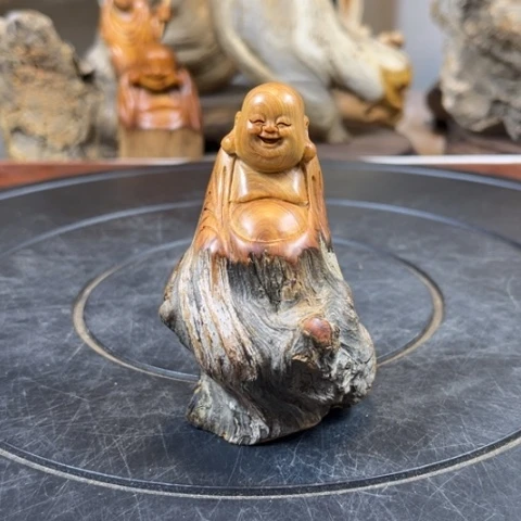 柏木（崖柏） b bv v h h h j k