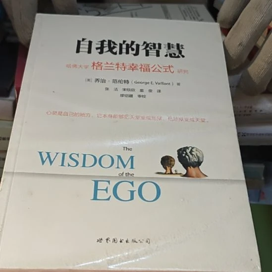 自我的智慧平装库存书