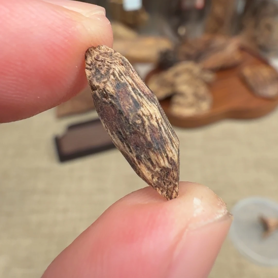 沉香斯里兰卡瓜子料