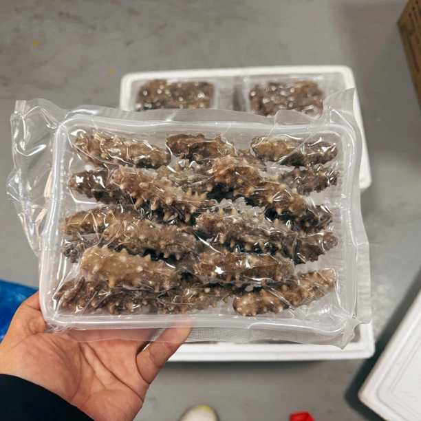 1即食海参开包即食散装称重