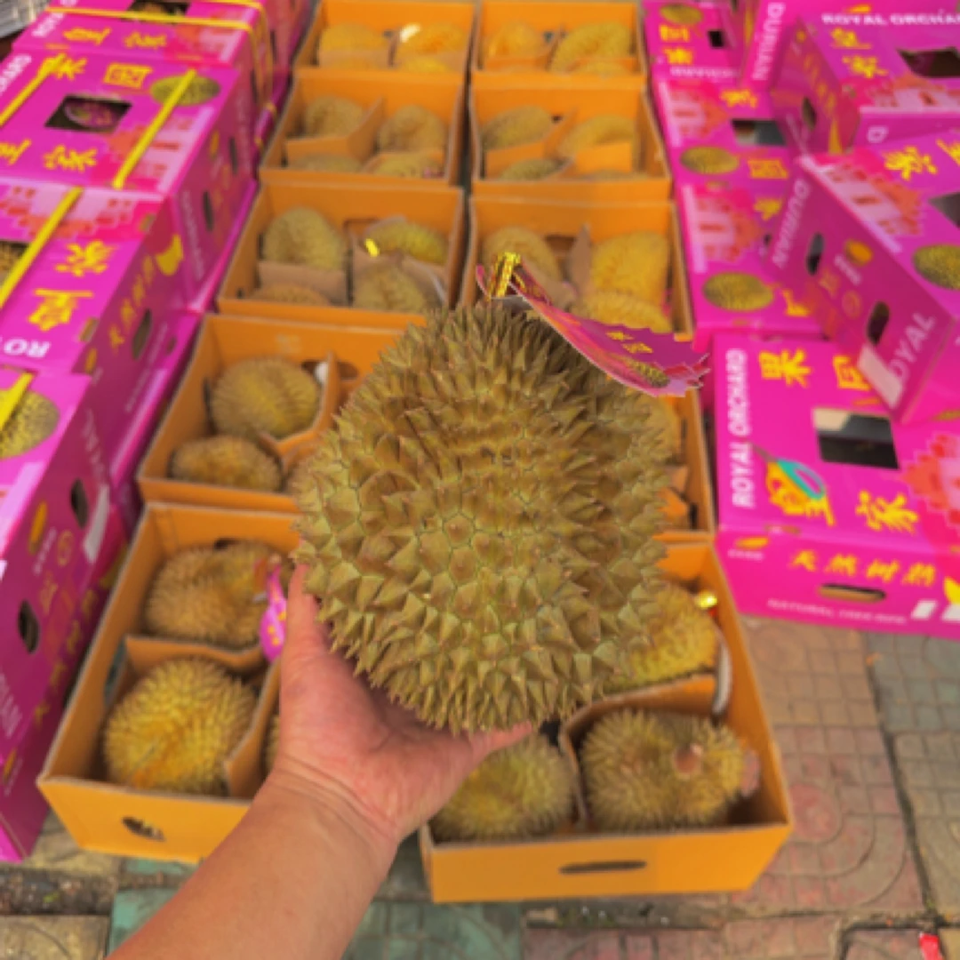 【空运树熟金枕榴莲】双A果168一个6斤左右新鲜核小金枕泰国东部