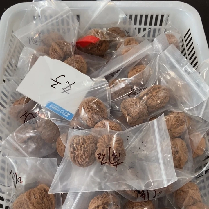 吊坠文玩核桃南疆石团购