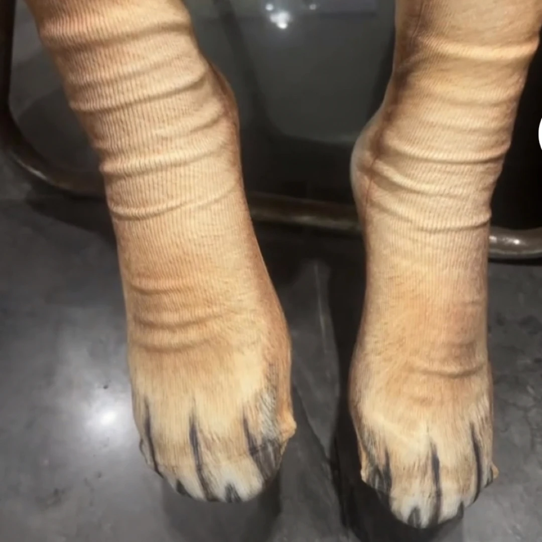 动物脚仿真袜子猫爪袜老鹰老虎狗猪女袜中筒袜个性可爱萌袜3D动物