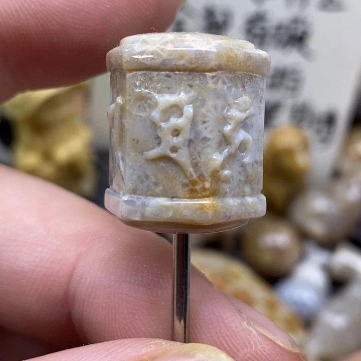 硅化珊瑚（珊瑚玉）未镶嵌颈饰